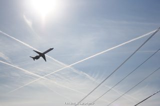 IMG_0695.jpg