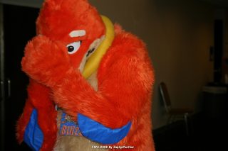 IMG_0702.jpg