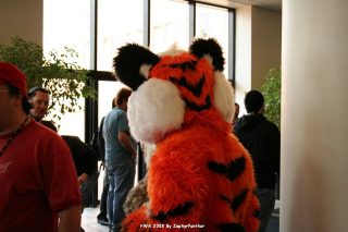 IMG_0748.jpg