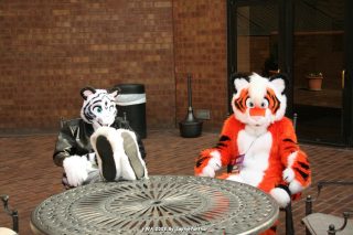 IMG_0772.jpg