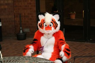 IMG_0773.jpg
