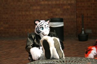 IMG_0774.jpg
