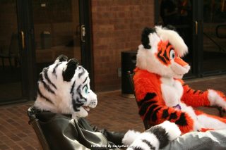IMG_0776.jpg