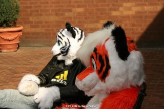 IMG_0778.jpg