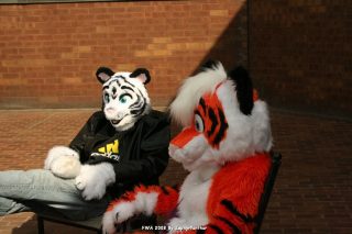 IMG_0779.jpg
