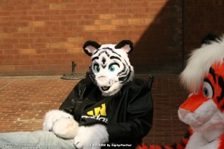 IMG_0780.jpg