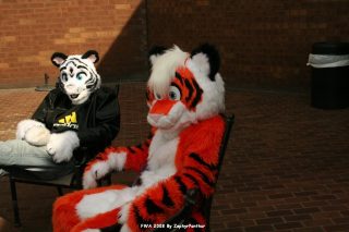 IMG_0782.jpg