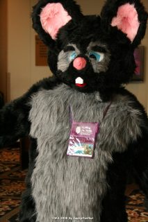IMG_0784.jpg