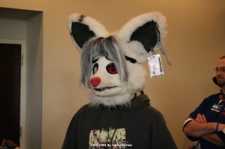 IMG_0813.jpg