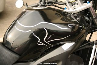 IMG_0833.jpg