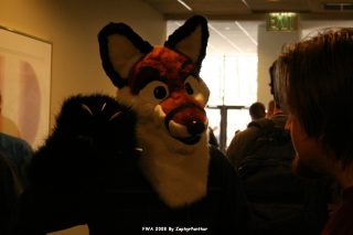 IMG_0849.jpg