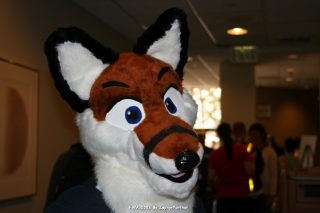 IMG_0853.jpg