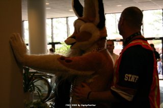 IMG_0858.jpg