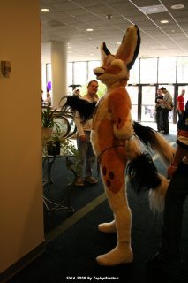 IMG_0861.jpg
