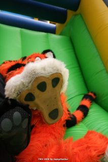 IMG_0889.jpg