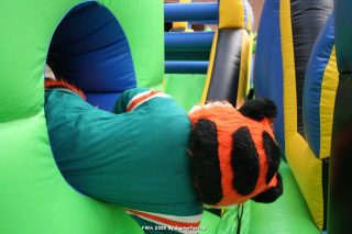 IMG_0903.jpg