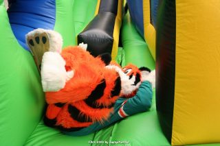 IMG_0904.jpg