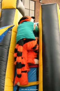 IMG_0913.jpg