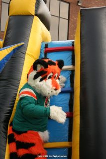 IMG_0915.jpg