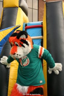 IMG_0916.jpg