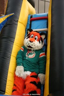 IMG_0919.jpg