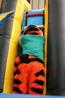 IMG_0920.jpg