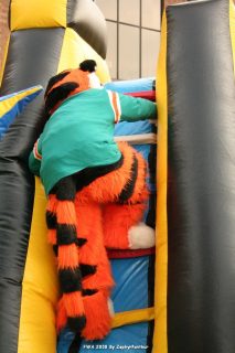 IMG_0926.jpg
