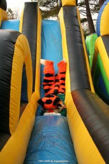 IMG_0931.jpg