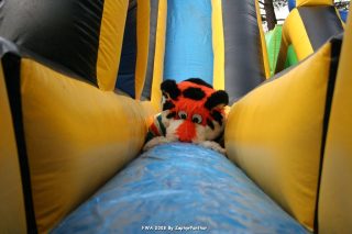IMG_0935.jpg