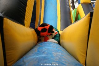 IMG_0936.jpg