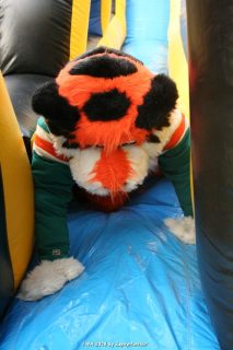 IMG_0937.jpg
