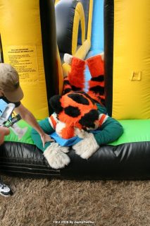 IMG_0939.jpg