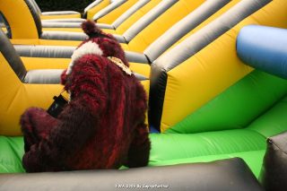 IMG_0944.jpg
