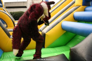 IMG_0945.jpg