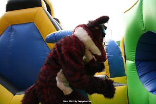 IMG_0953.jpg