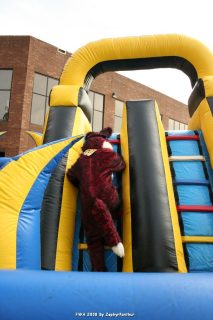 IMG_0957.jpg