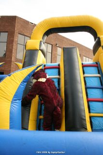 IMG_0958.jpg