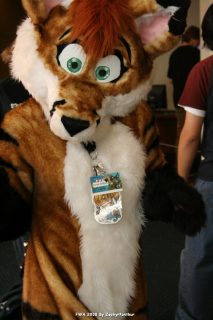 IMG_0970.jpg