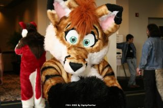 IMG_0973.jpg