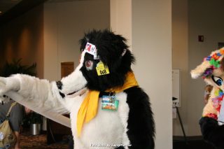 IMG_0981.jpg