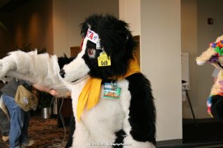 IMG_0982.jpg