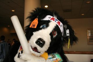 IMG_0990.jpg
