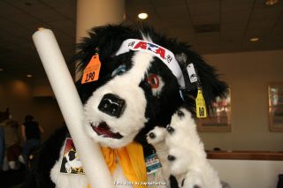 IMG_0991.jpg