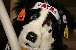 IMG_0992.jpg