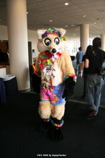 IMG_1007.jpg