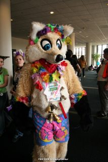 IMG_1009.jpg