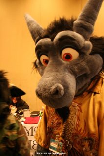 IMG_1034.jpg