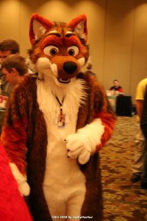 IMG_1041.jpg