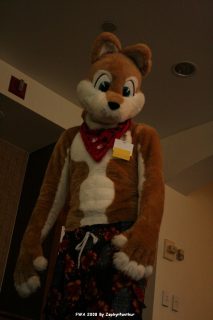 IMG_1075.jpg