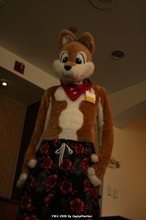 IMG_1077.jpg